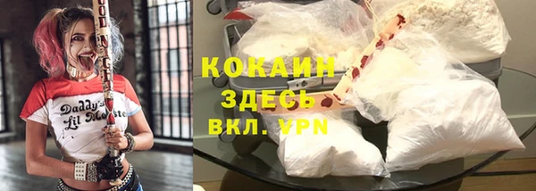 стафф Богданович