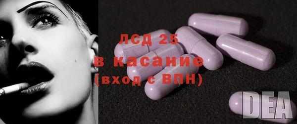 стафф Богданович