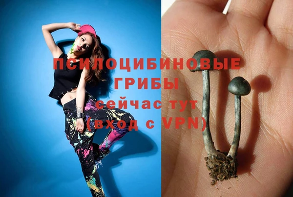стаф Семилуки