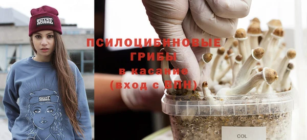 стафф Богданович