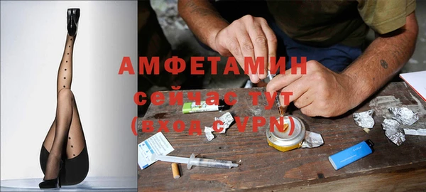 стафф Богданович