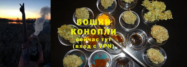 ECSTASY Богородск