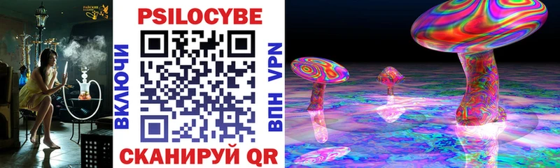 Купить где  Бакал  Галлюциногенные грибы мицелий 