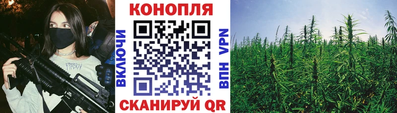 Канабис сатива  Купить закладки  Бакал 